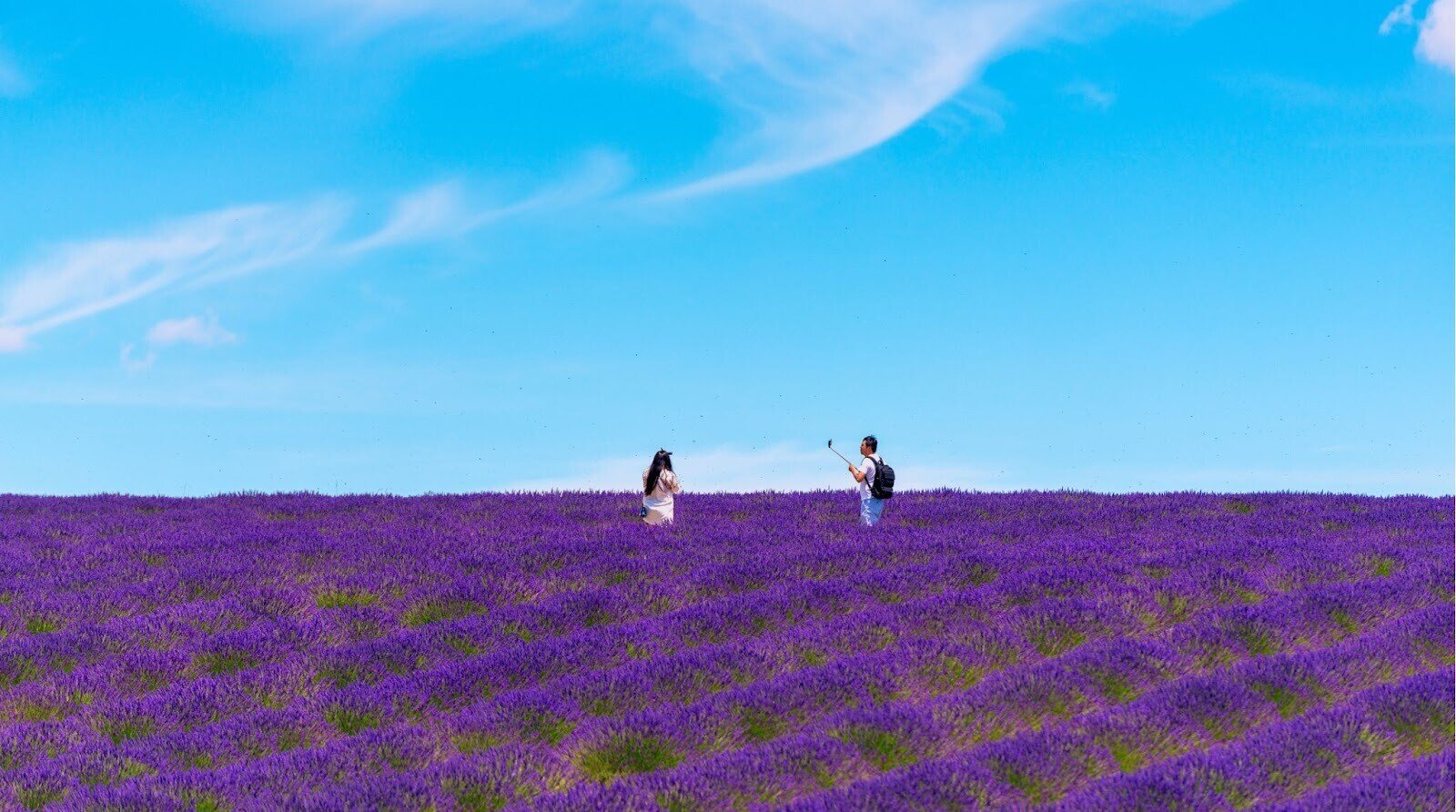 Turistas em campo de lavanda na Valensole, França.