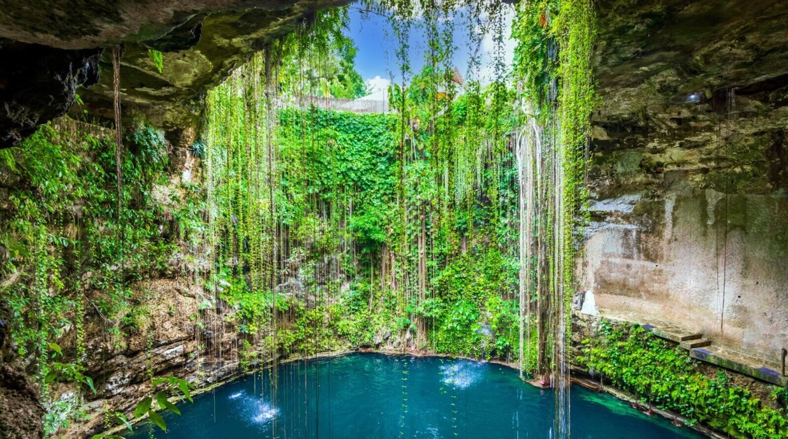 vue de l'intérieur de Ik-Kil Cenote, péninsule du Yucatan au Mexique