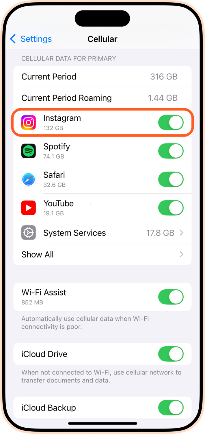 Cellular toggle iPhone