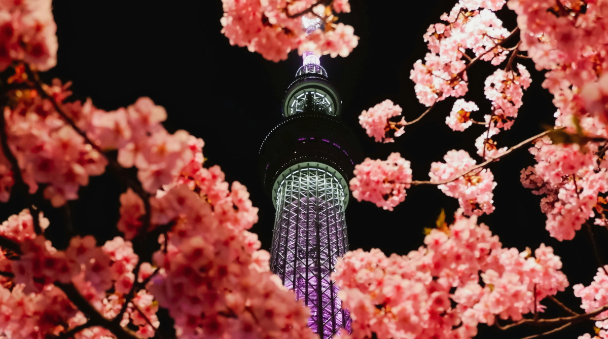 Tokyo Skytree at night