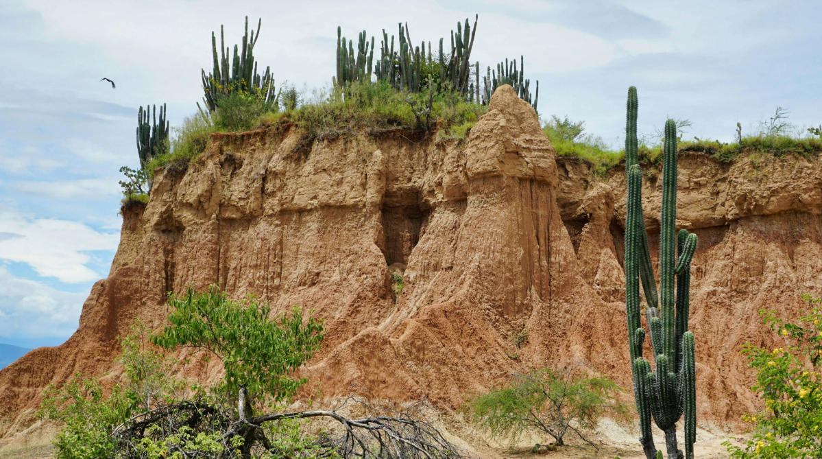 Tatacoa Desert, Colombia