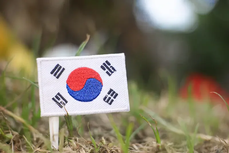 芝生の上に刺さっている韓国国旗