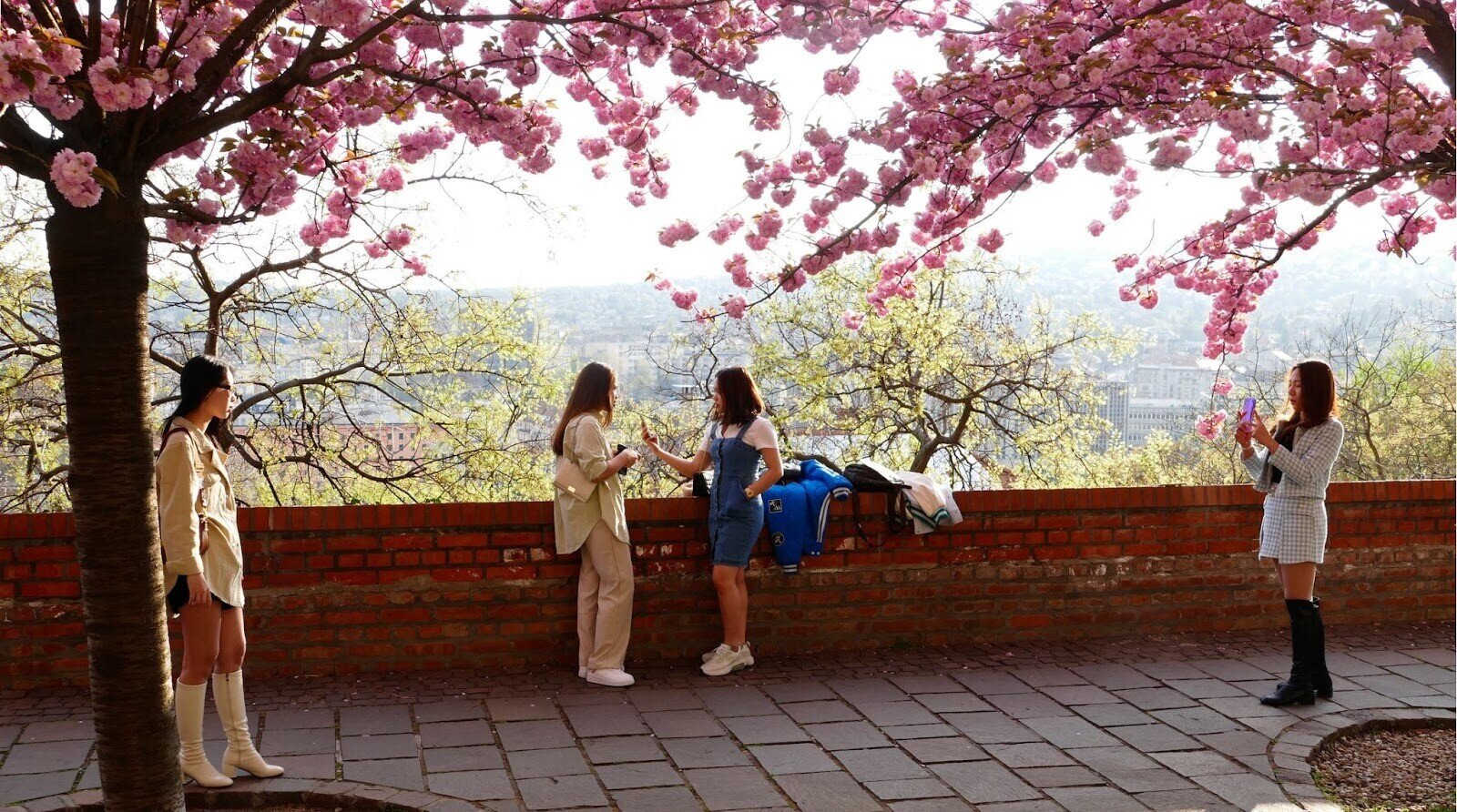 Meninas asiáticas fotografando umas às outras sob cerejeiras florescendo no Castelo de Buda, em Budapeste, Hungria, durante a primavera na Europa.