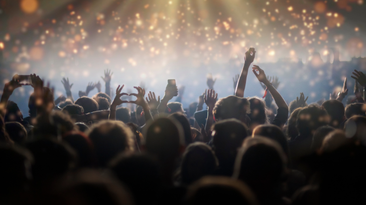 A crowd of festival-goers enjoying a performance, with their backs to the camera, representing the immersive experience of attending the Summer Sonic Music Festival.