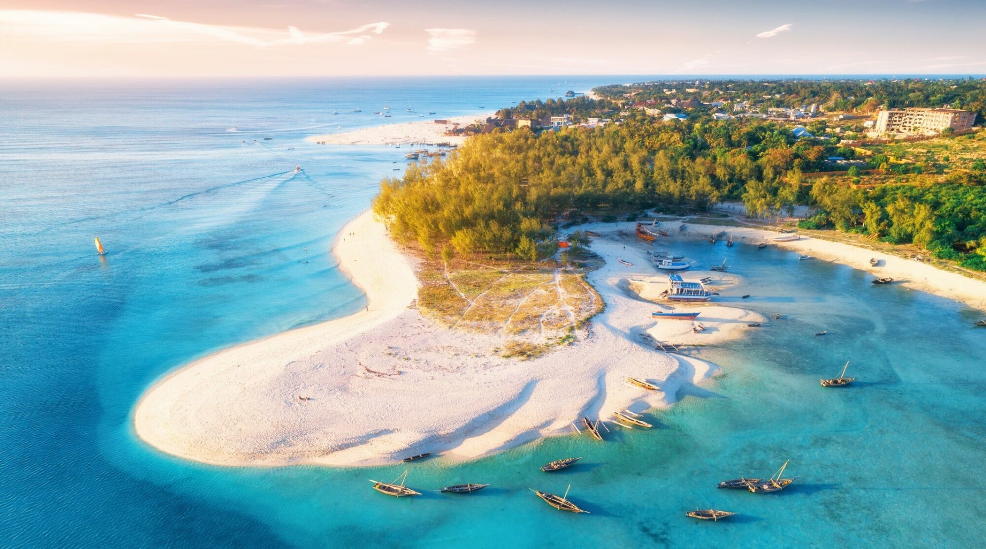 zanzibar en juillet paysage de plage et mer