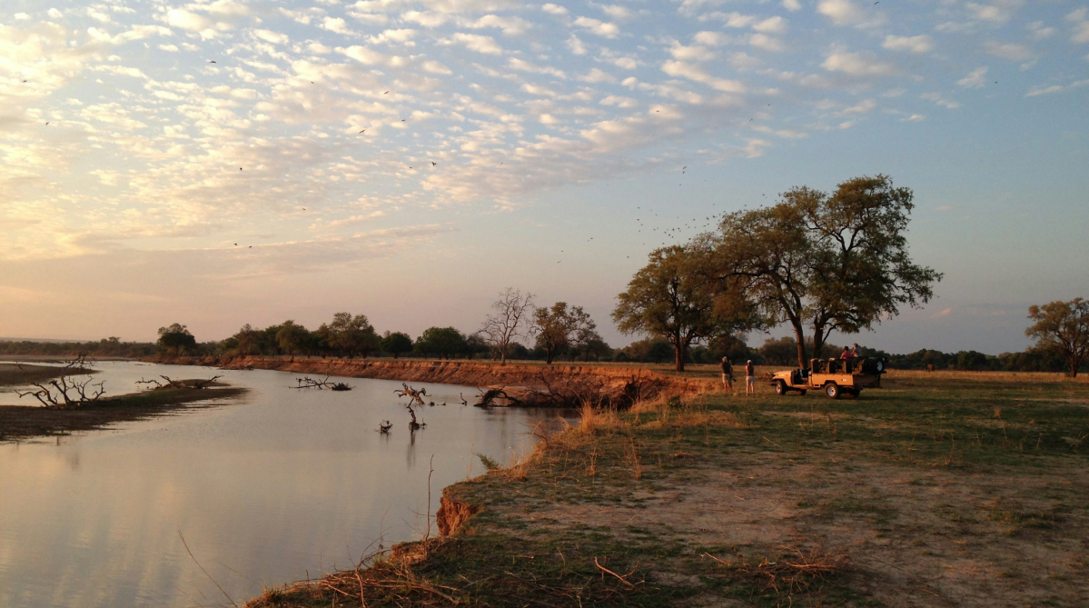 السفاري في زامبيا