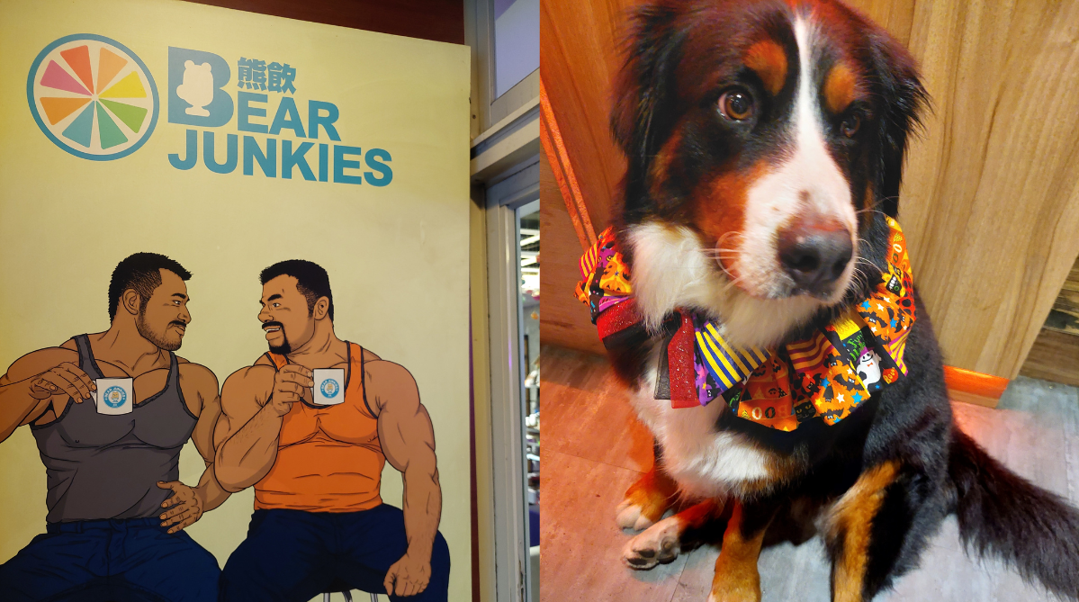 Bear Junkies banner (left) and their inhouse dog (right)