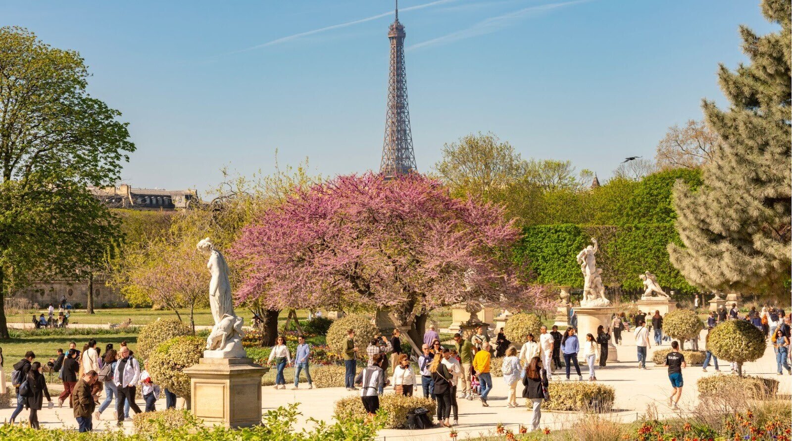 Paris é um dos melhores destinos da Europa na primavera.  Seja uma das pessoas andando nos jardins das Tulherias na primavera e na torre Eiffel ao fundo.
