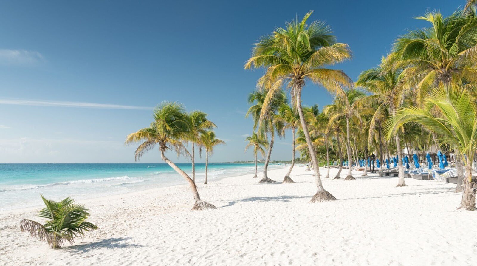 Plage de sable blanc et cocotiers à Tulum un jour de grand soleil