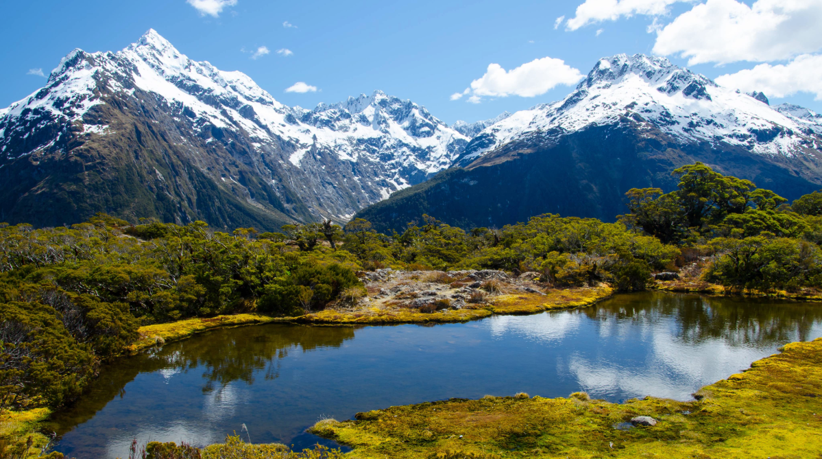 New Zealand