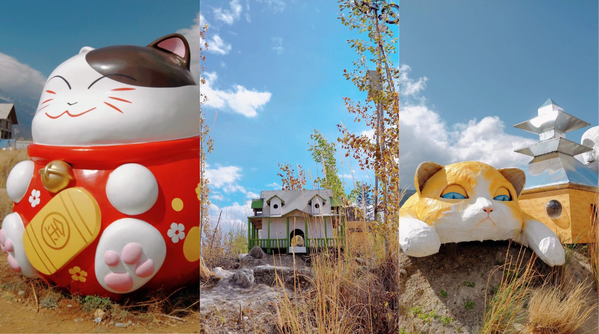 Installations within the Land of Wilderness