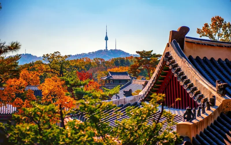 秋の韓国、色づいた紅葉に囲まれた景福宮の伝統的な屋根越しに、ソウル市内とNソウルタワーを望む風景