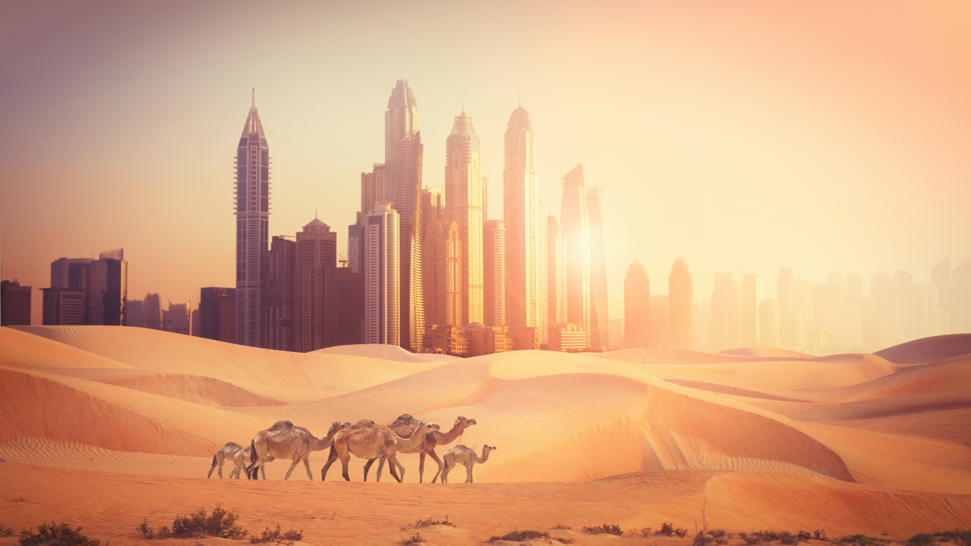 L’anima autentica di Dubai: tra deserto e tradizione