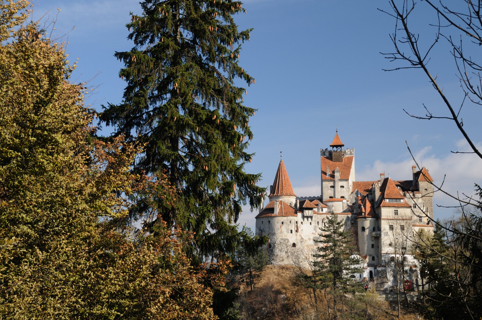 Bran Castle in Romania, behind green trees