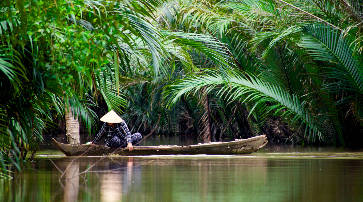 Boat on a river in Vietnam