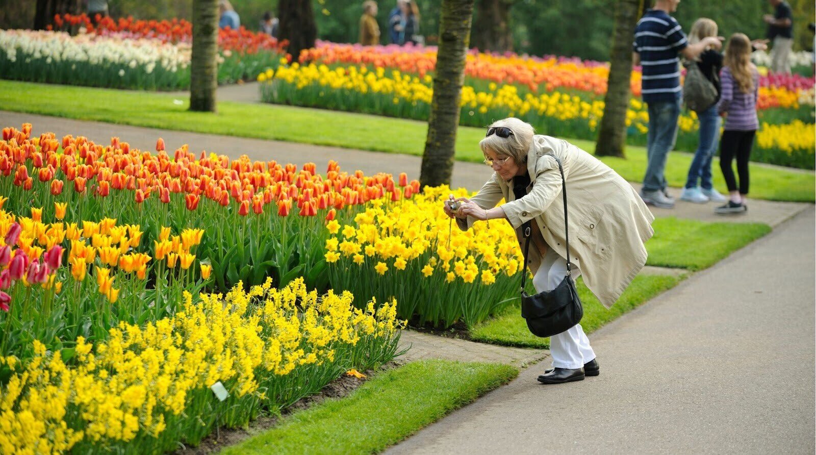 Senhora se agachando para tirar fotos das flores no jardim Keukenhof, durante a primavera na Europa.