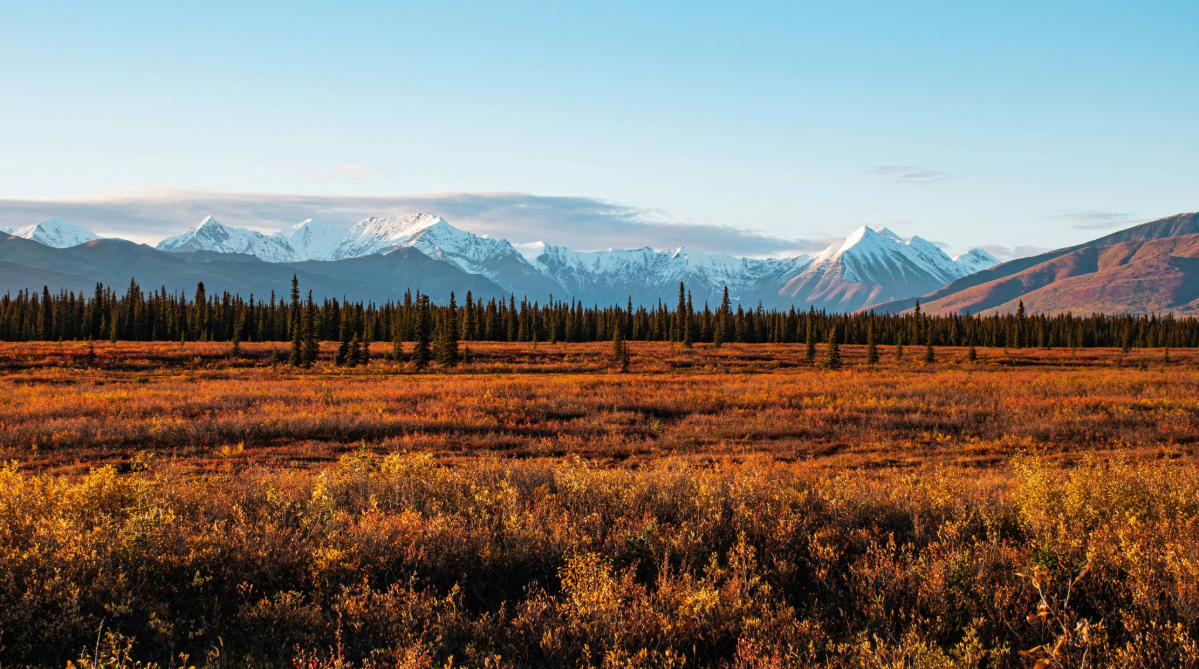 Denali National Park, Alaska