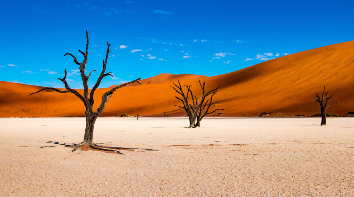 Deadvlei in Sossusvlei, Namibia