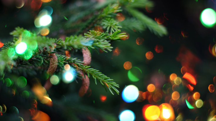 A close up of a Christmas tree's branches with twinkling lights in the background, to illustrate a blog post entitled 'Things to do in London in December'.