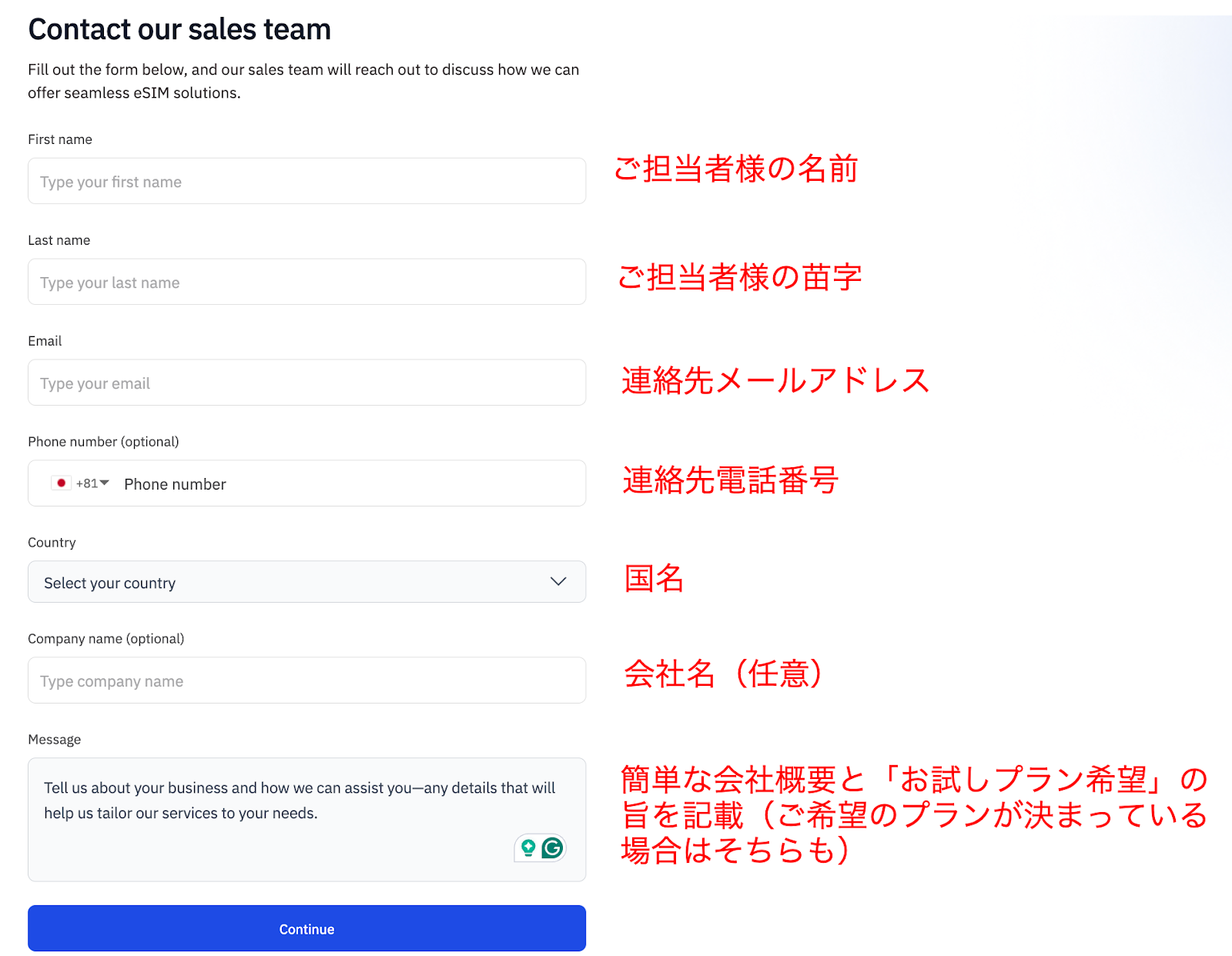 Airalo for Business お試しプランフォーム記入例