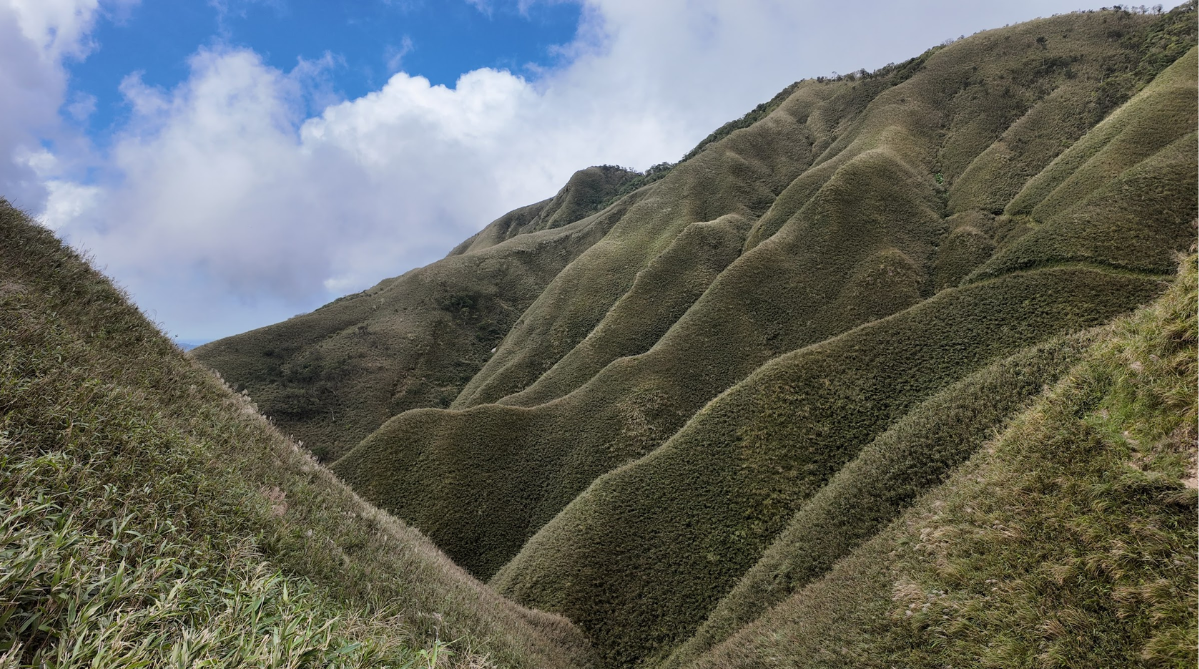 Matcha Mountain ( 抹茶山)