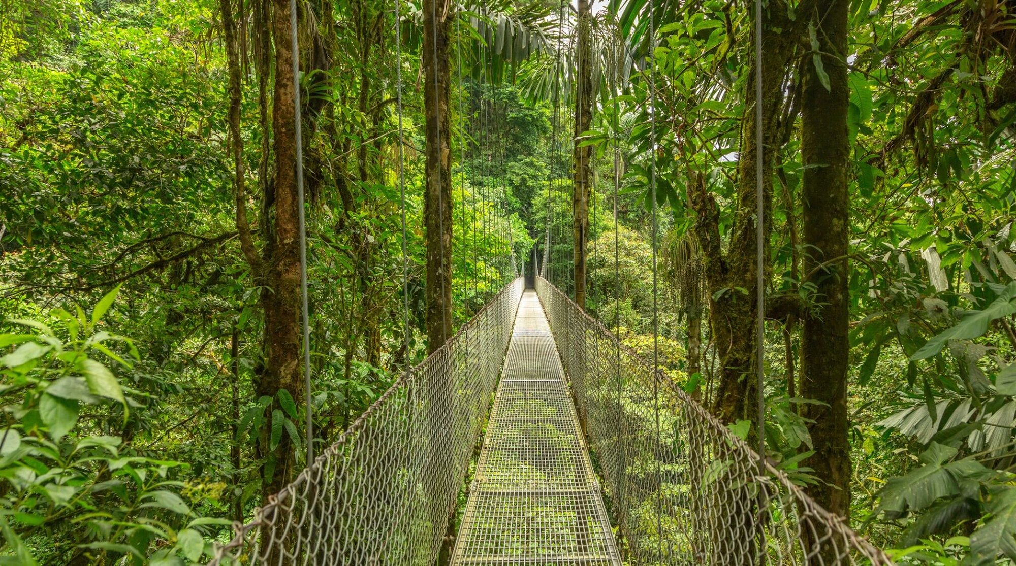 le costa rica recommandé pour voyager seule (femme)