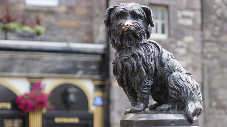 Bronze statue of Greyfriars Bobby, the shaggy Skye Terrier who guarded his master’s grave for 14 years, perched on a plinth at the corner of Candlemaker Row in Edinburgh. His nose is shiny from visitors rubbing it for luck.