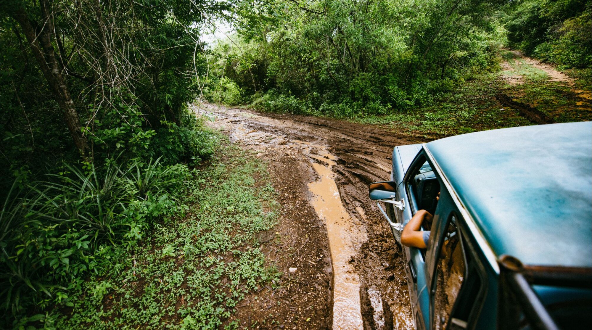 Auto recorriendo un camino entre vegetación durante un roadtrip en Chiapas.