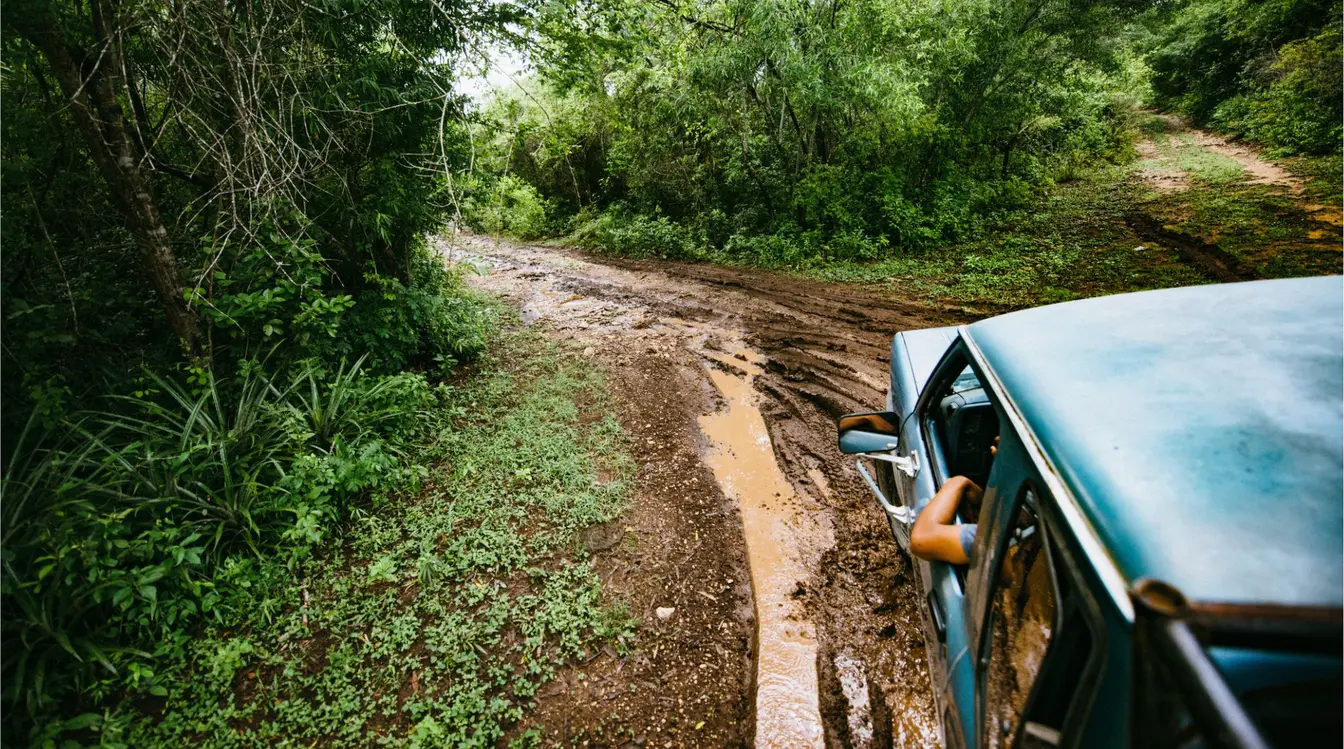Auto recorriendo un camino entre vegetación durante un roadtrip en Chiapas.