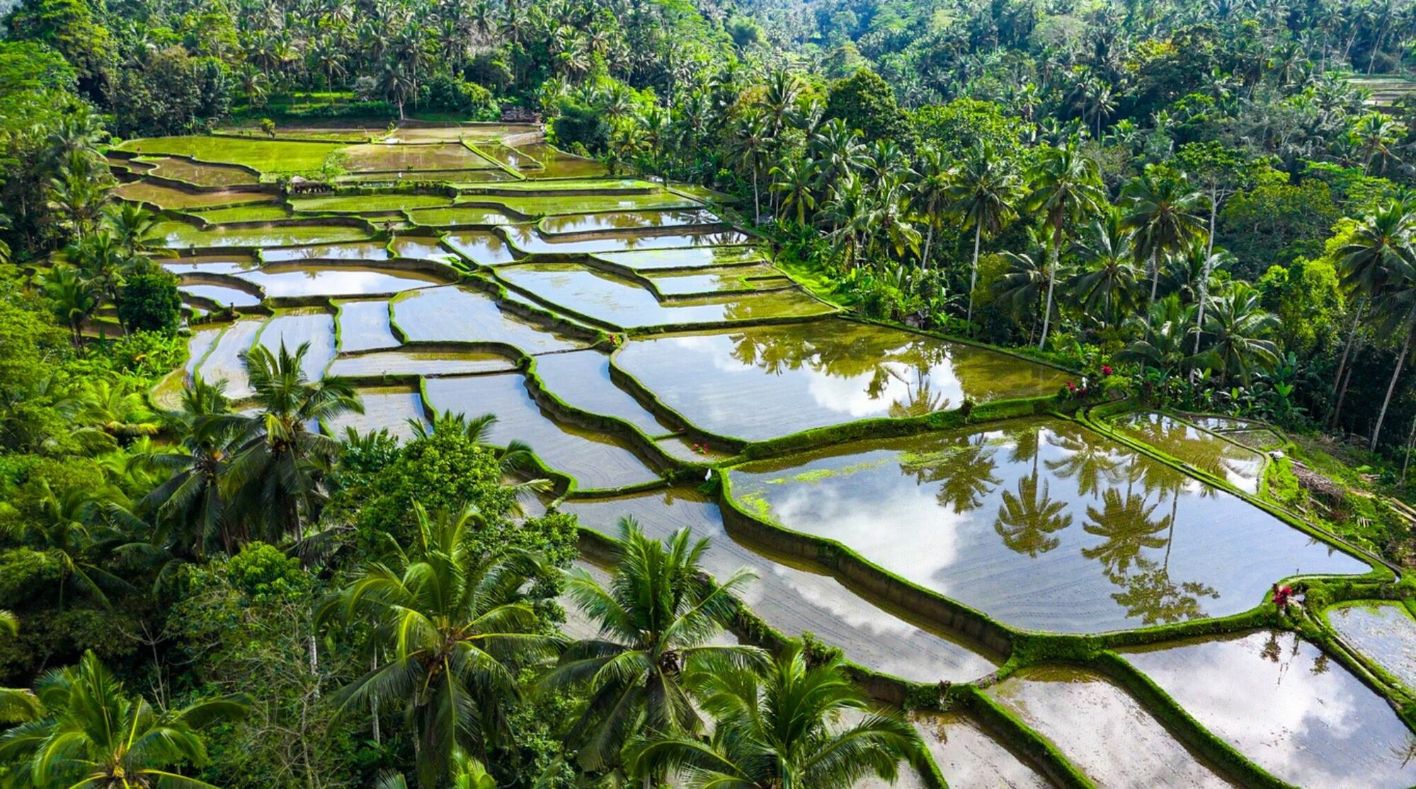 idee voyage ete : bali indonesie