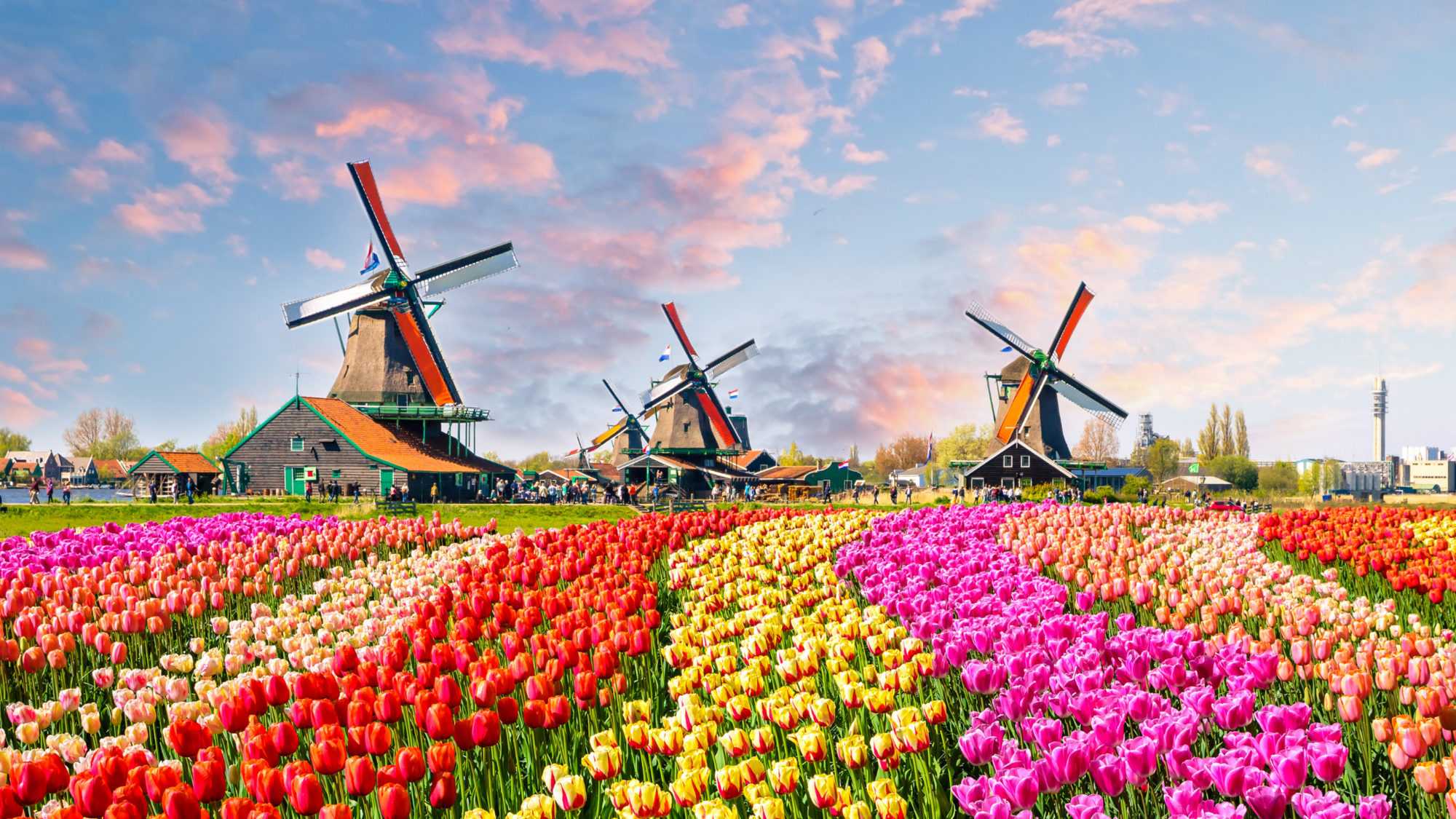 Amsterdam, Paesi Bassi: canali, bici e libertà