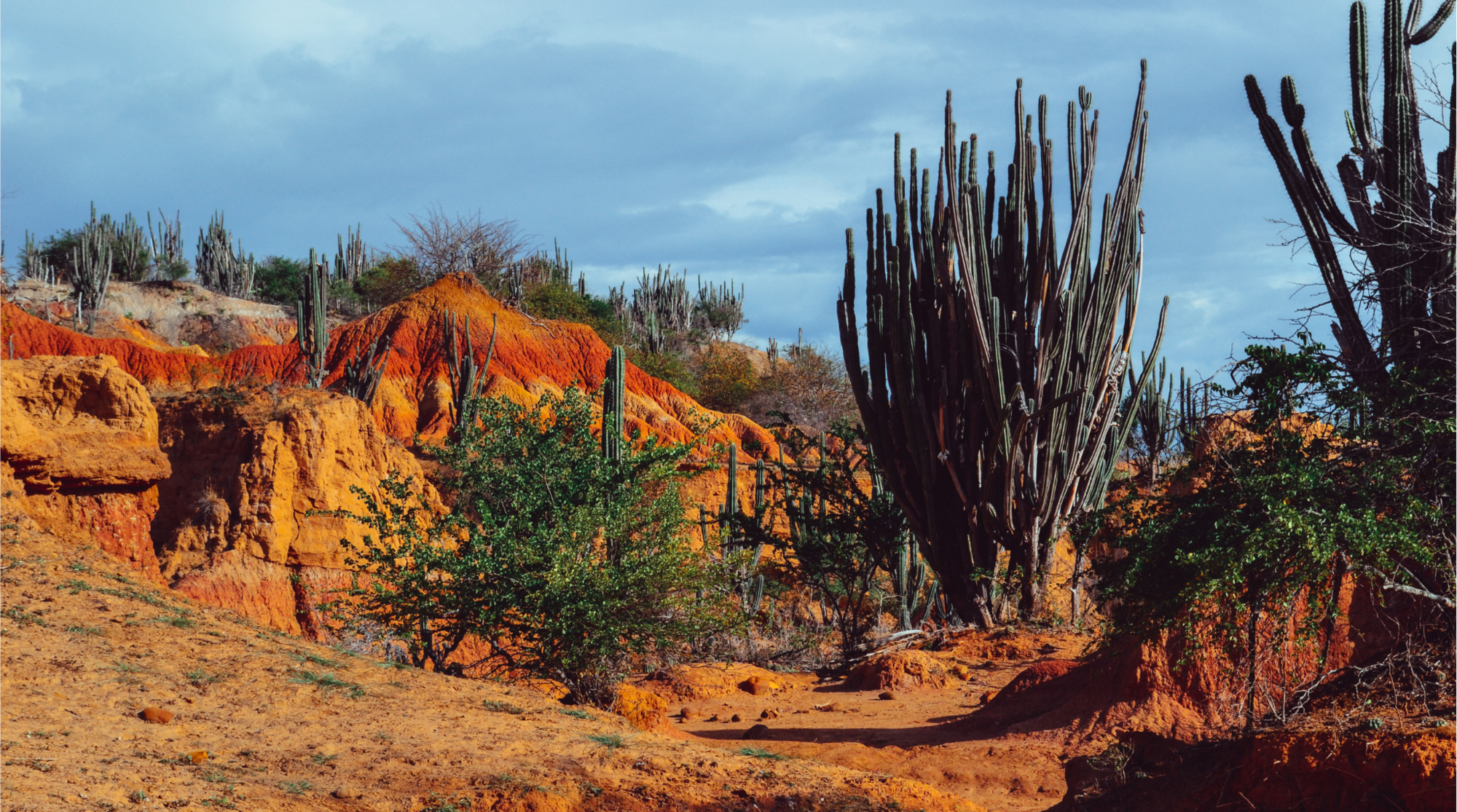 mejor época para visitar Colombia