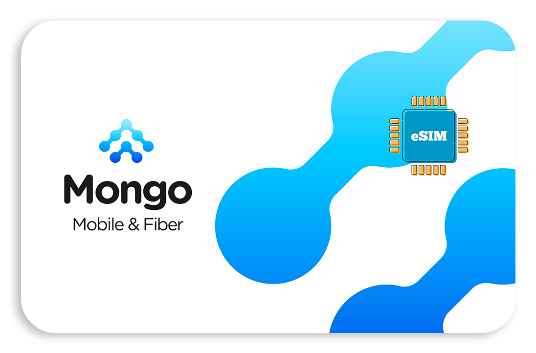 best mongolia esim