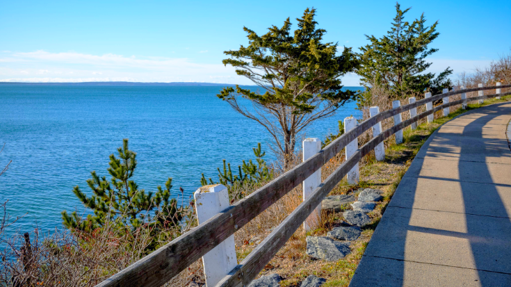 The blue waters of Nantucket Sound from a coastal path in Falmouth, with Martha's Vineyard in the distance.