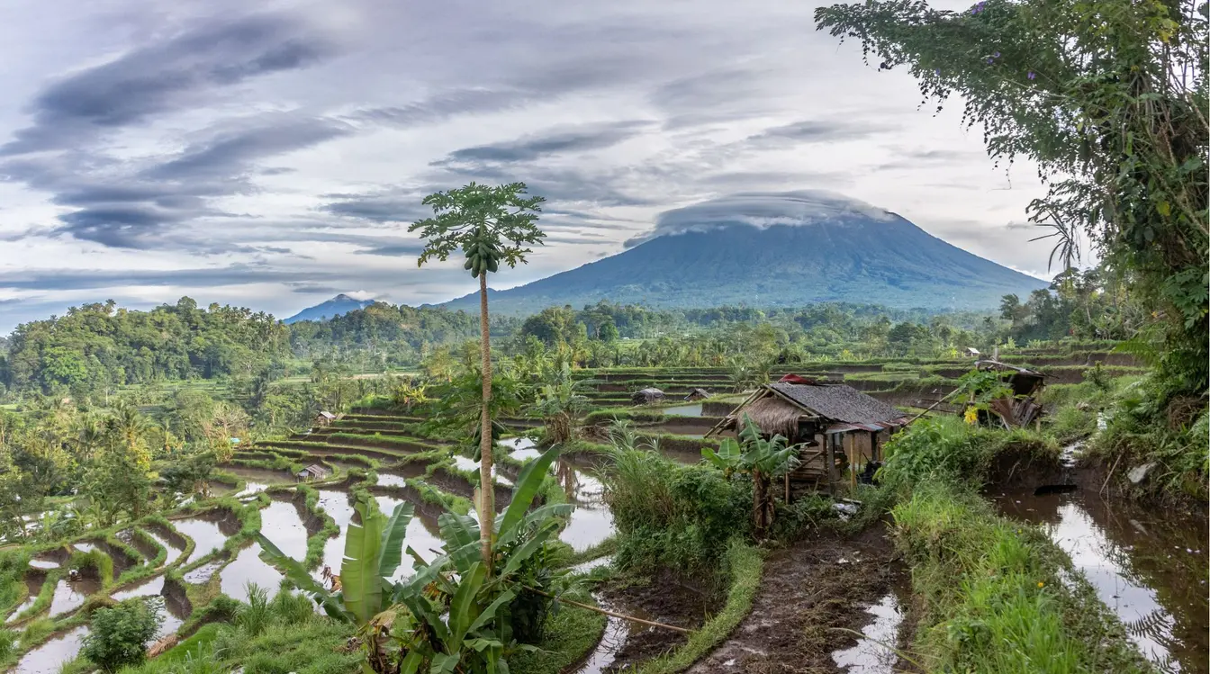 View of rice terraces in Sidemen, Bali, with the imposing Mount Agung in the distance.