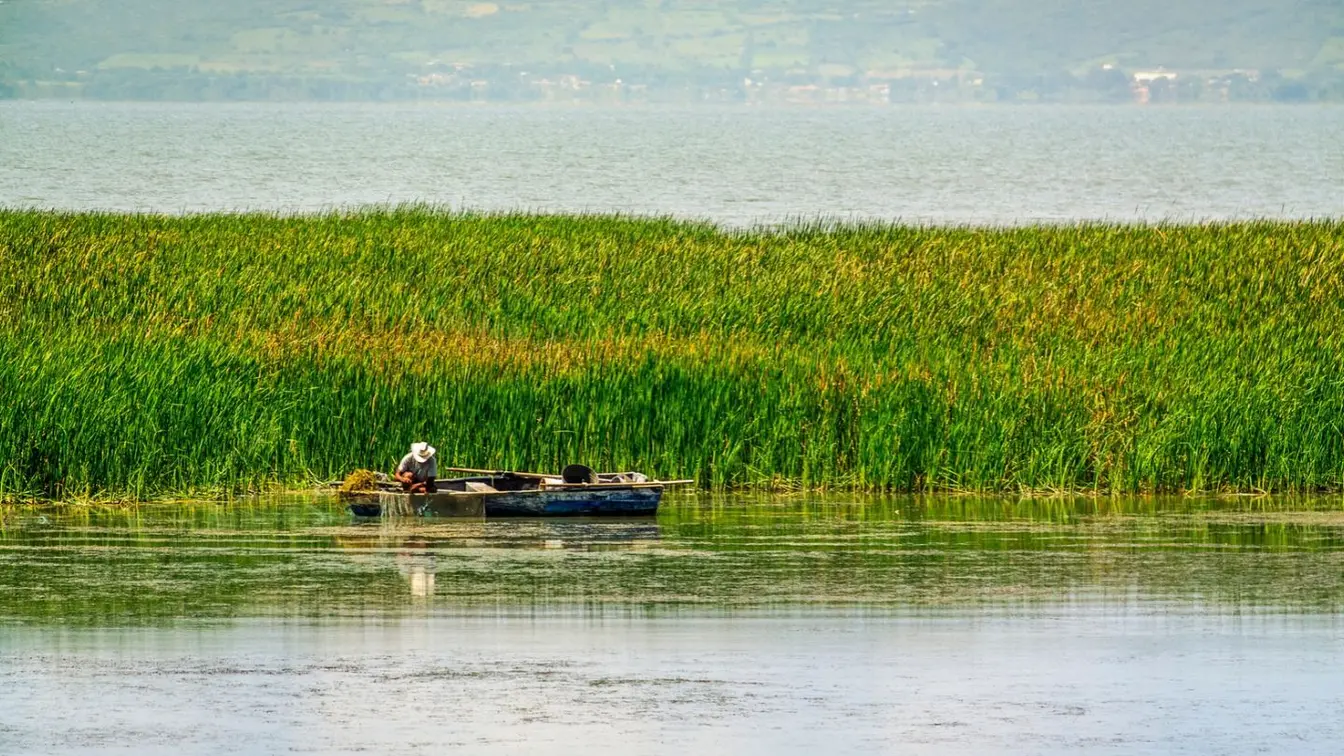 Barca pequeña entre vegetación en el lago de Chapala, una salida tranquila cerca de Guadalajara.