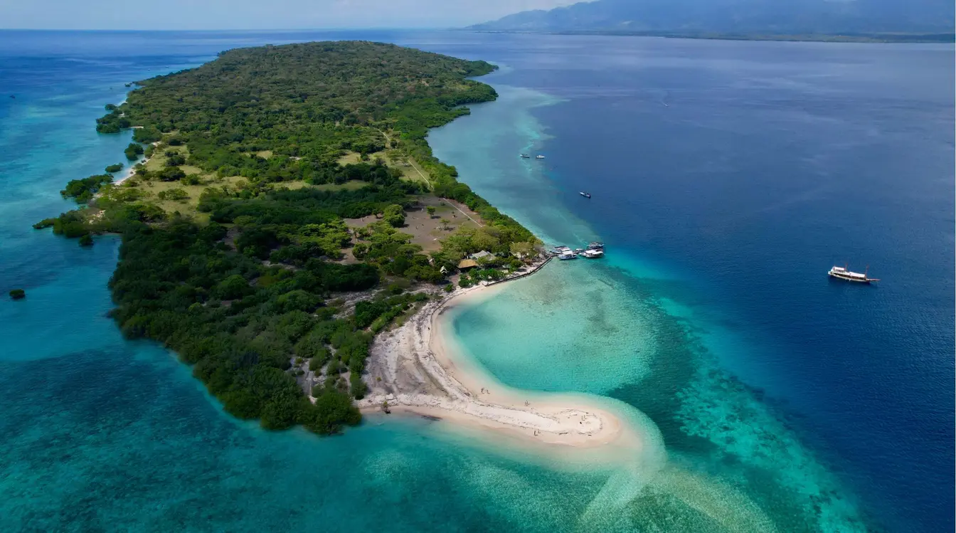 Aerial view of the forest-covered Menjangan Island with a sandy beach at one end, surrounded by turquoise and blue sea.