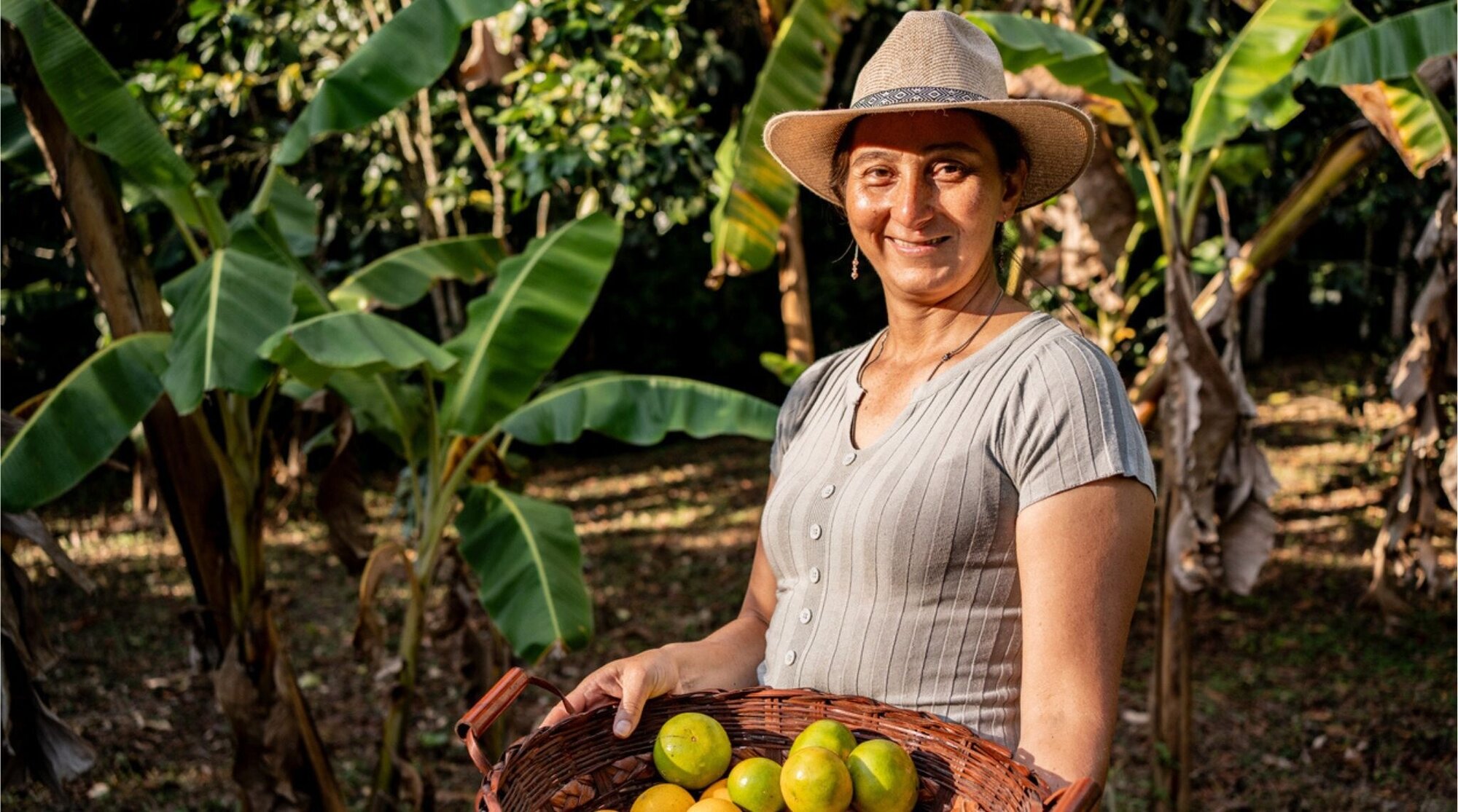 Mujer cosechando fruta en una finca del Eje Cafetero, Colombia huerto, con árboles frutales al fondo y luz de día.