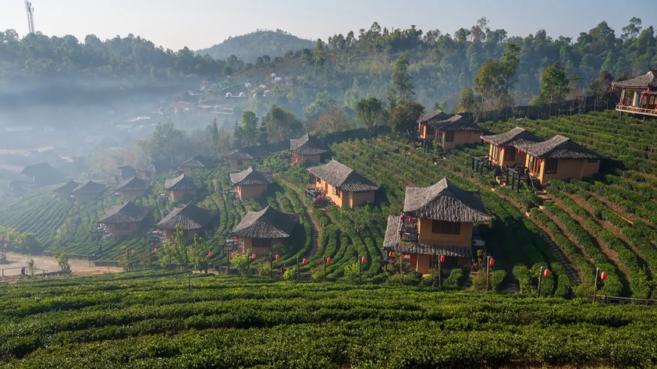メーホンソーンのバーン・ラック・タイの茶畑の風景