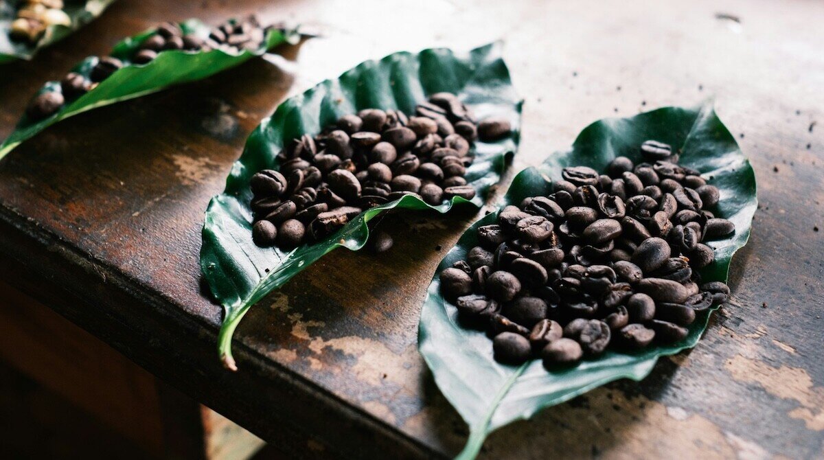 コーヒー豆　コスタリカ