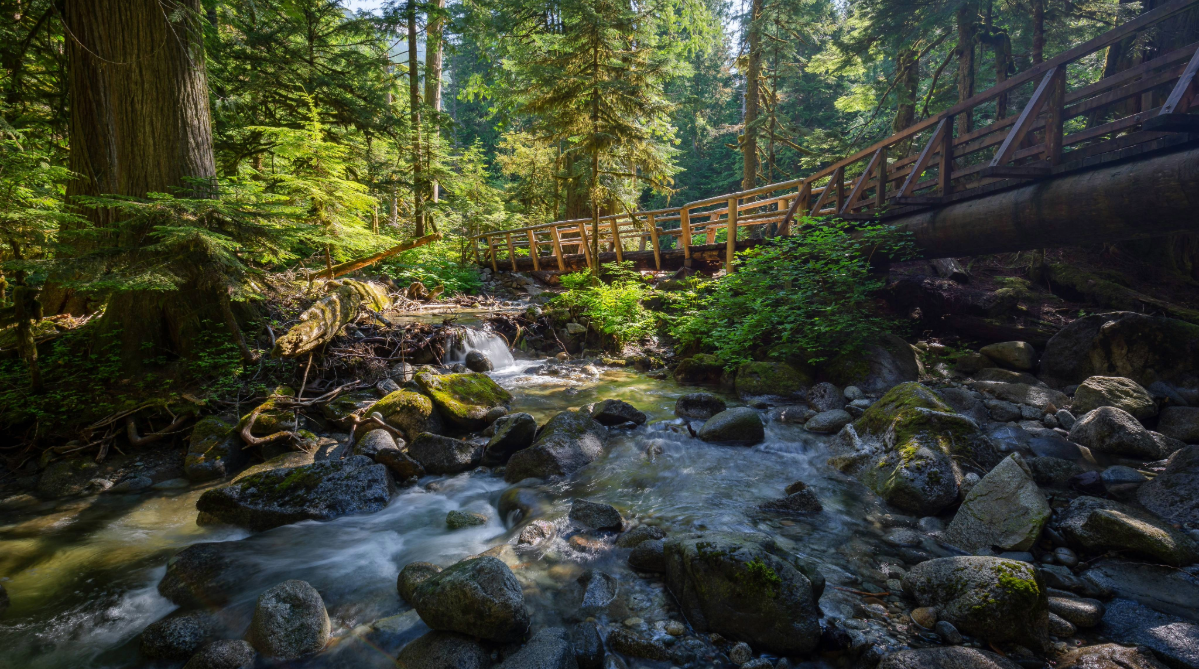 Bridge in Deception Falls, Washington