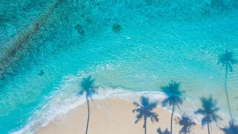 Weißer Strand mit Palmen und blaues Wasser an einem sonnigen Tag in der Karibik