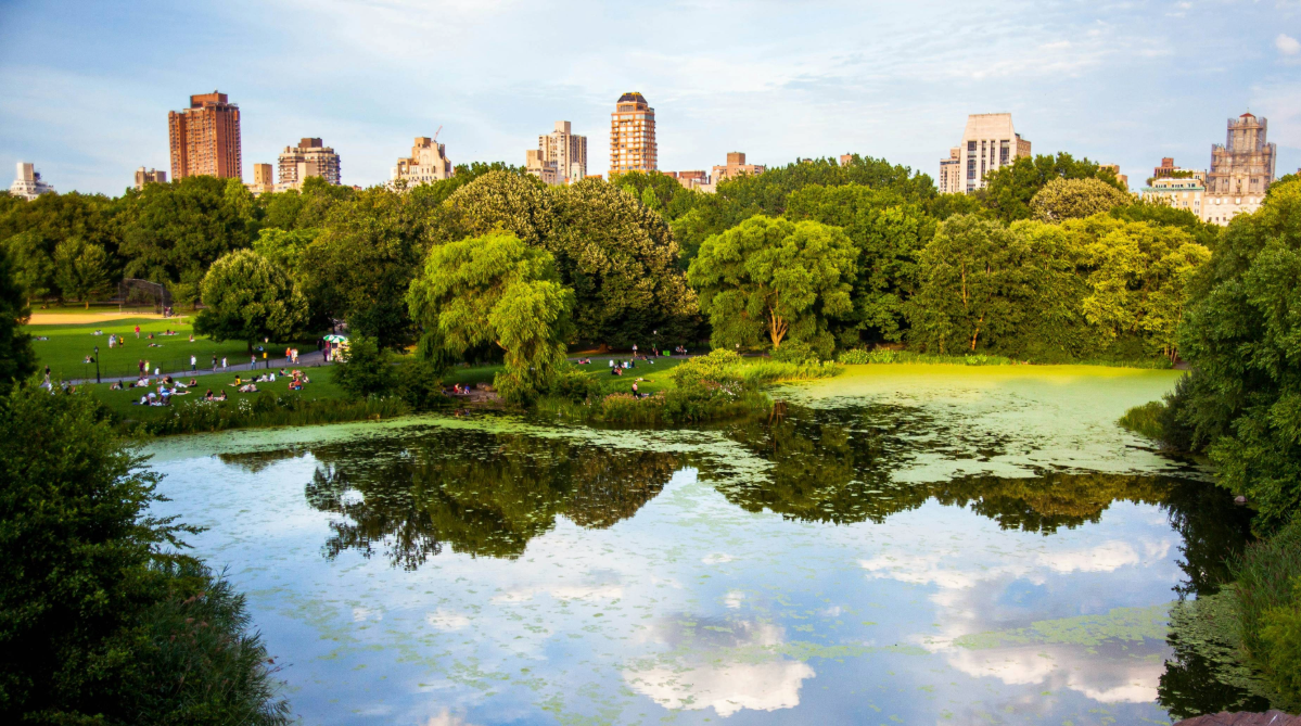 Central Park, New York City