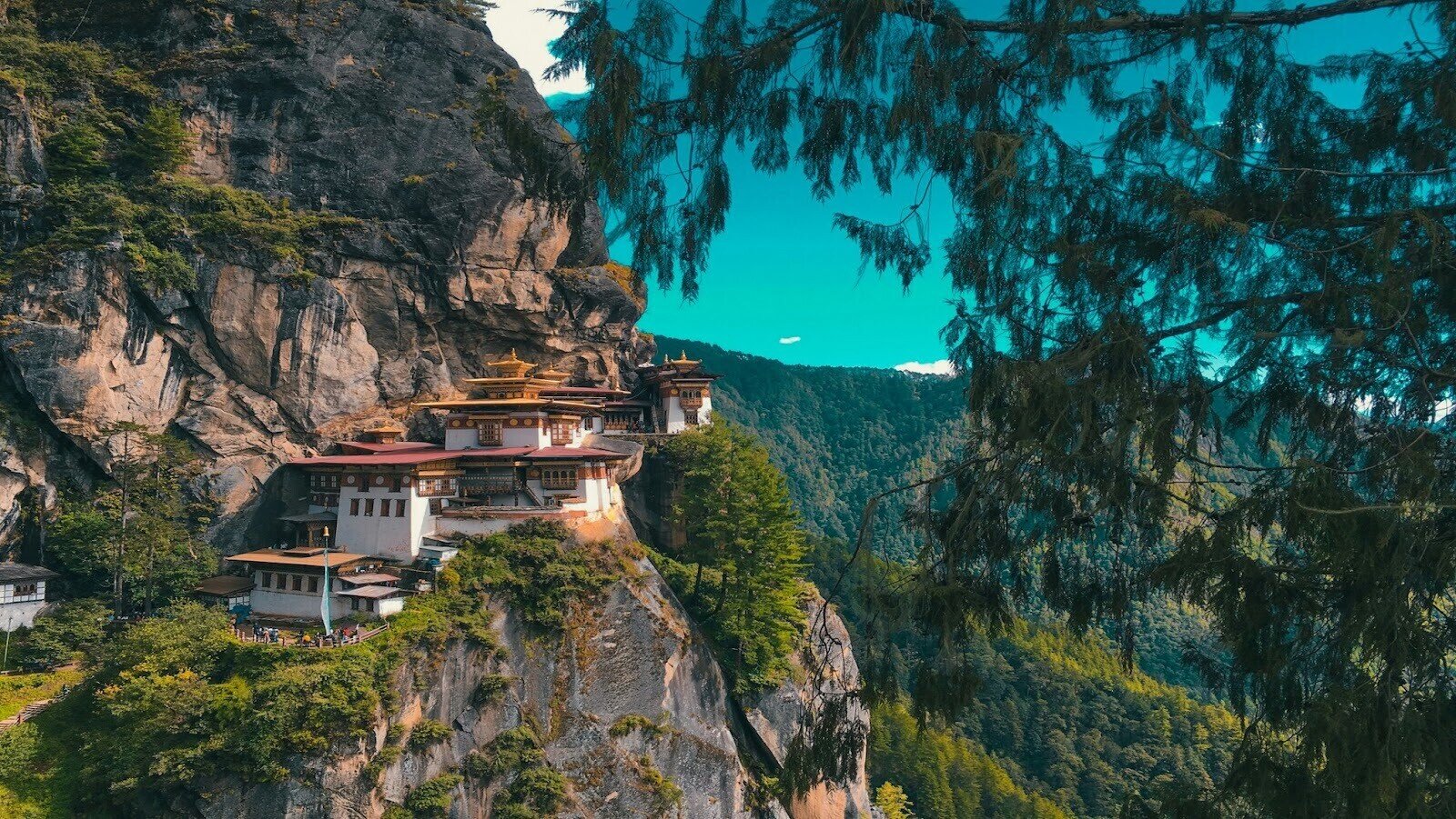 A mountain with a tall brown and white building on top of it, surrounded by trees during daytime