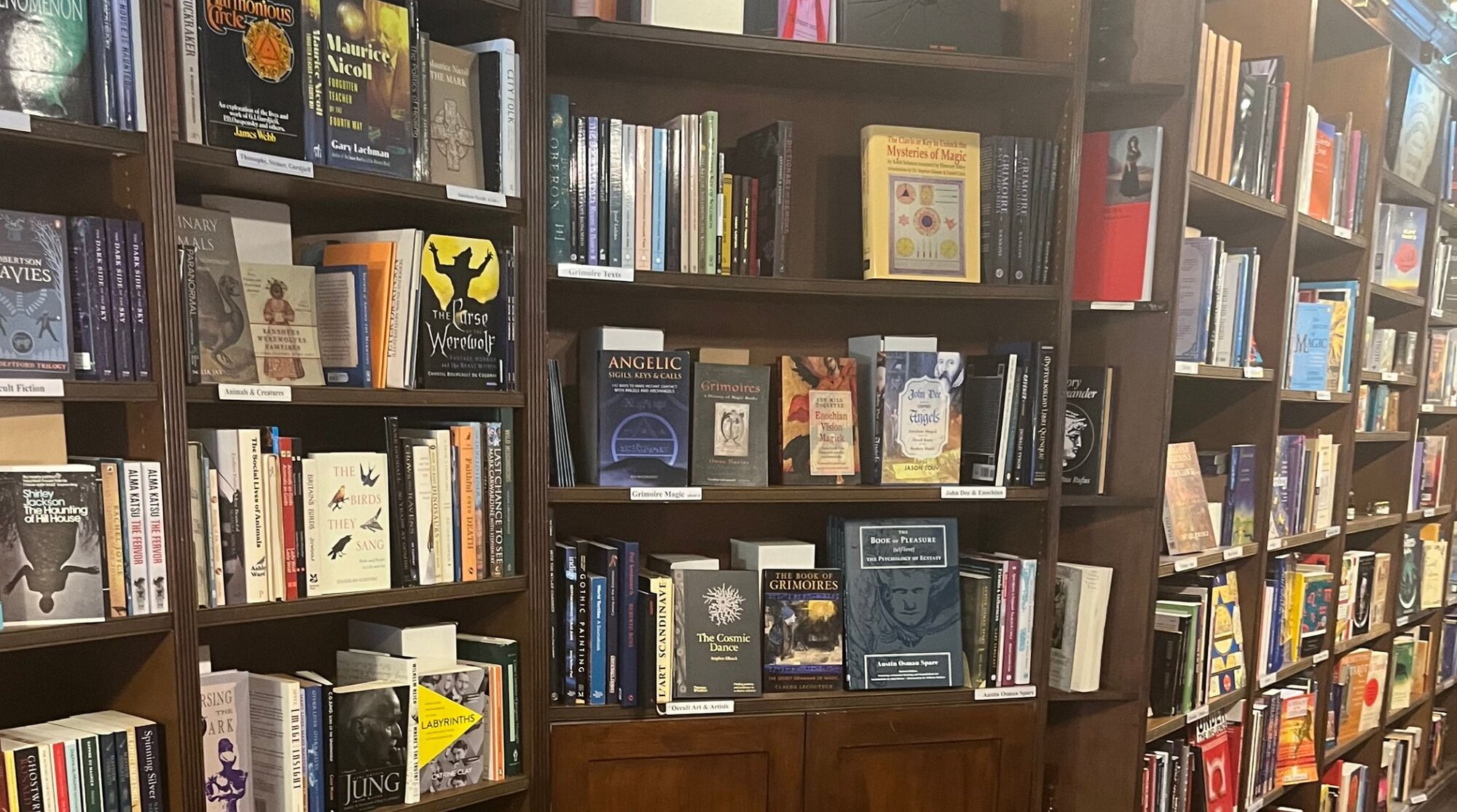 Bookshelves at Treadwell's Books, a small witchy bookstore in London