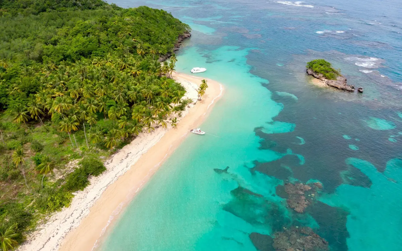 Vista aérea de una playa de arena blanca bordeada de palmeras y aguas turquesas en la costa de República Dominicana.