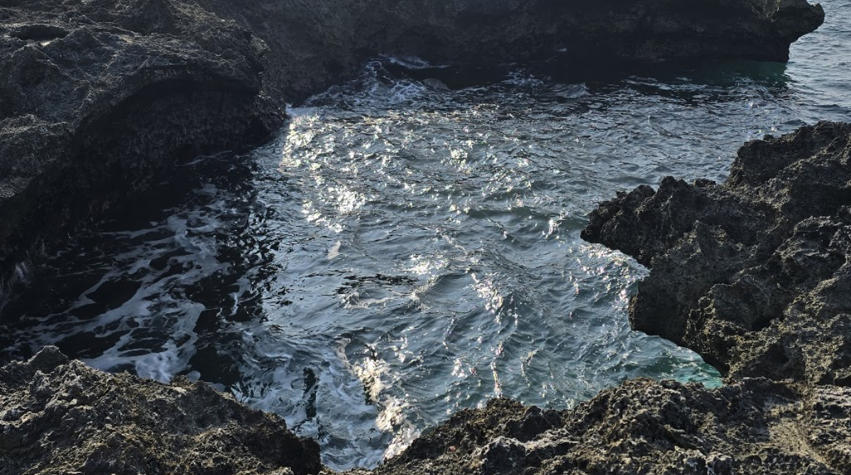 Turtle Cave (海龜洞)]