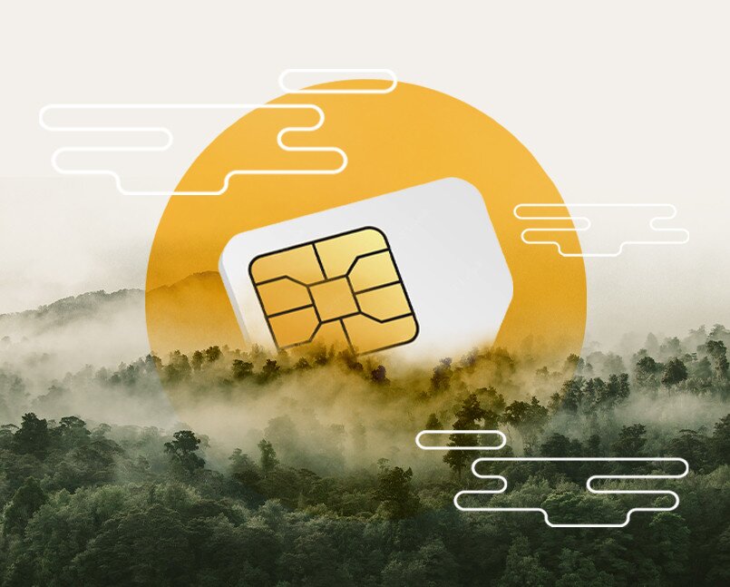 The True Environmental Cost of SIM Cards