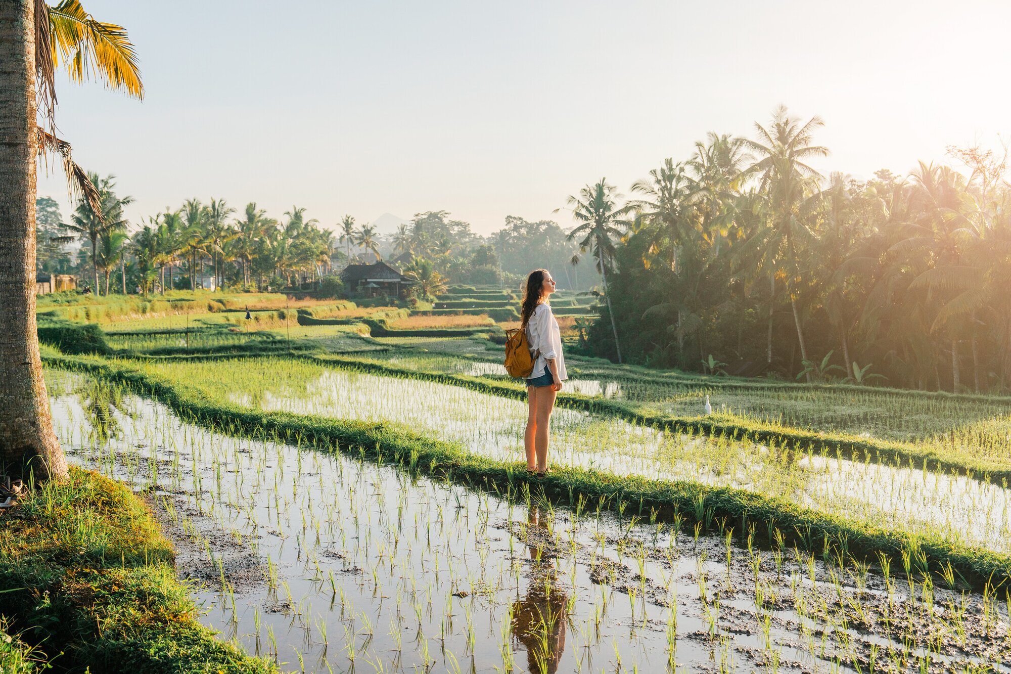 Frau in Reisfelder auf Bali
