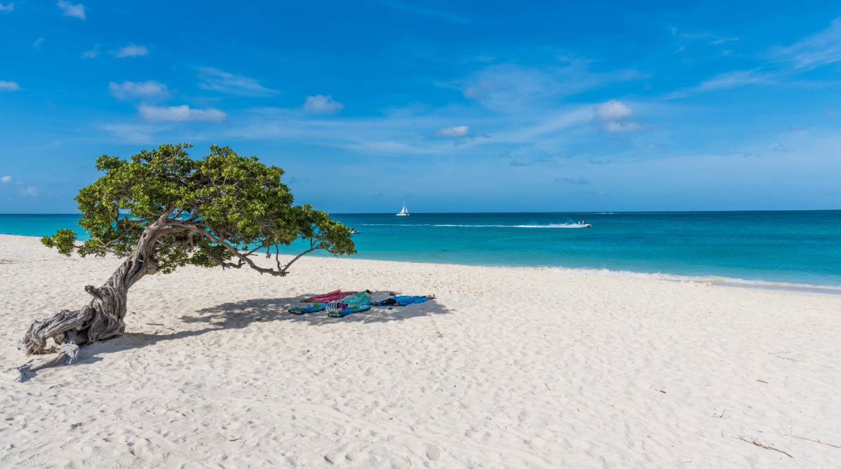 Tree and towels laid out on the beach in Aruba